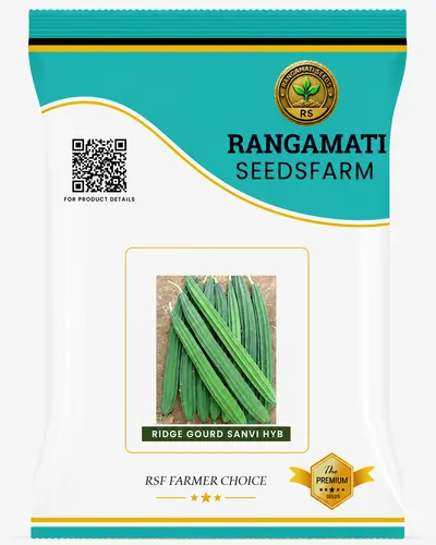 Ridge Gourd Sanvi Hyb