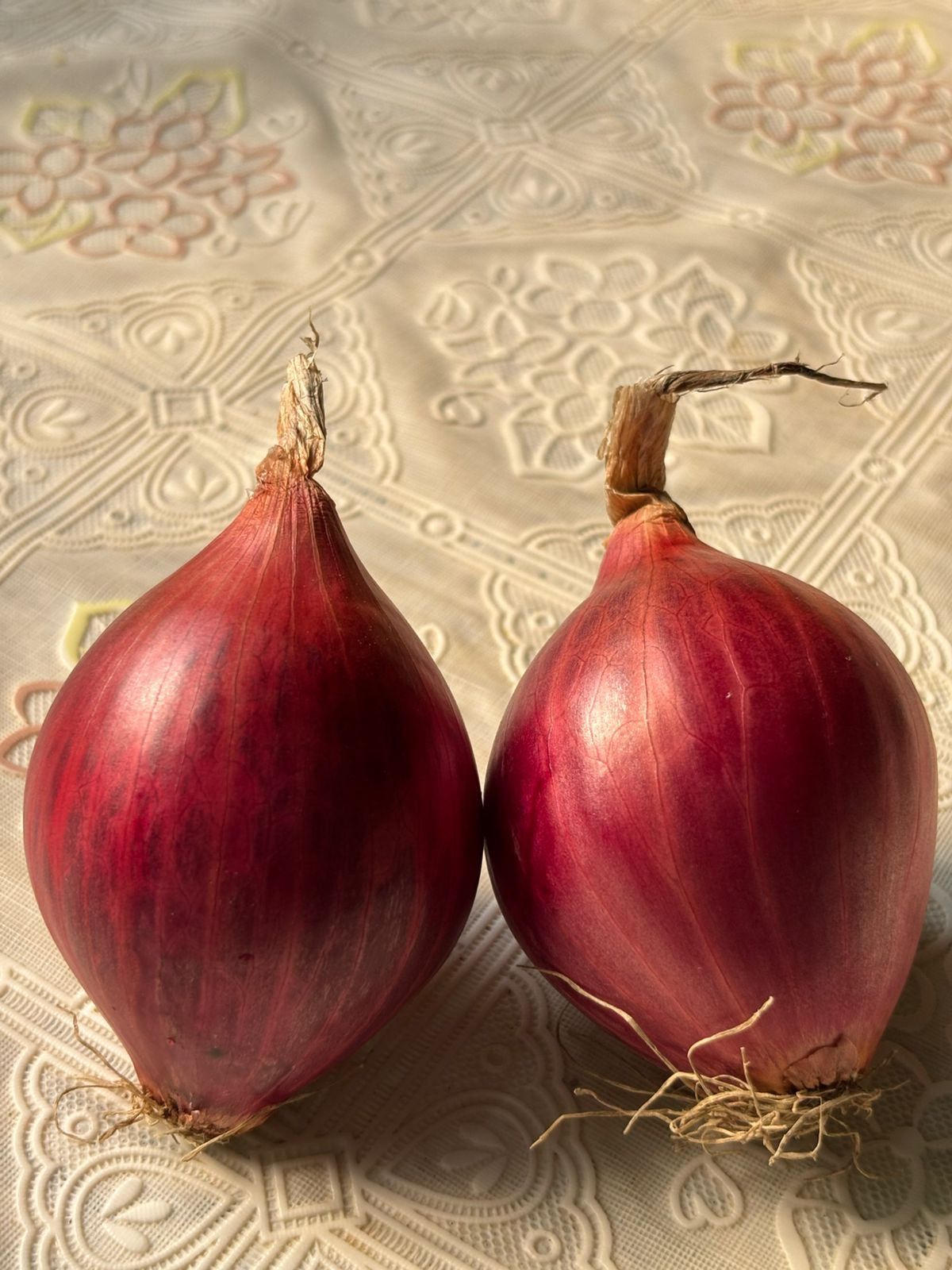 Onion Sukhsagar Jirat