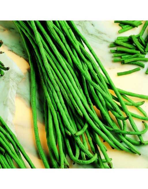 Beans Yard Long Roma