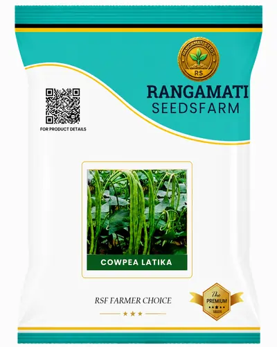 Cowpea Latika