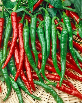Chilli Barud