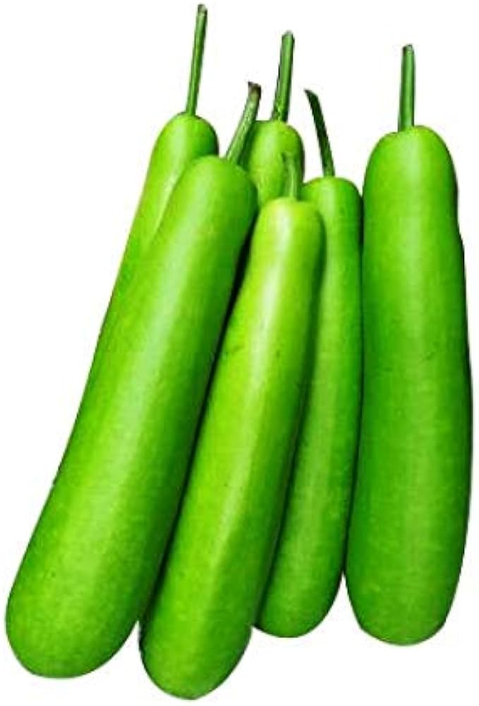 Bottle Gourd Green Gold Seeds