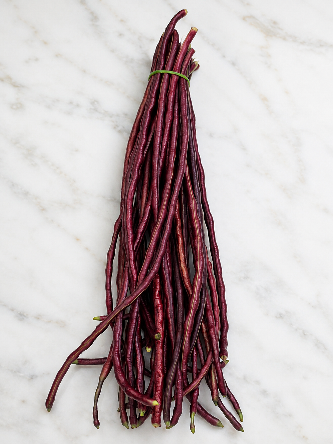 Beans Yard Long Red King