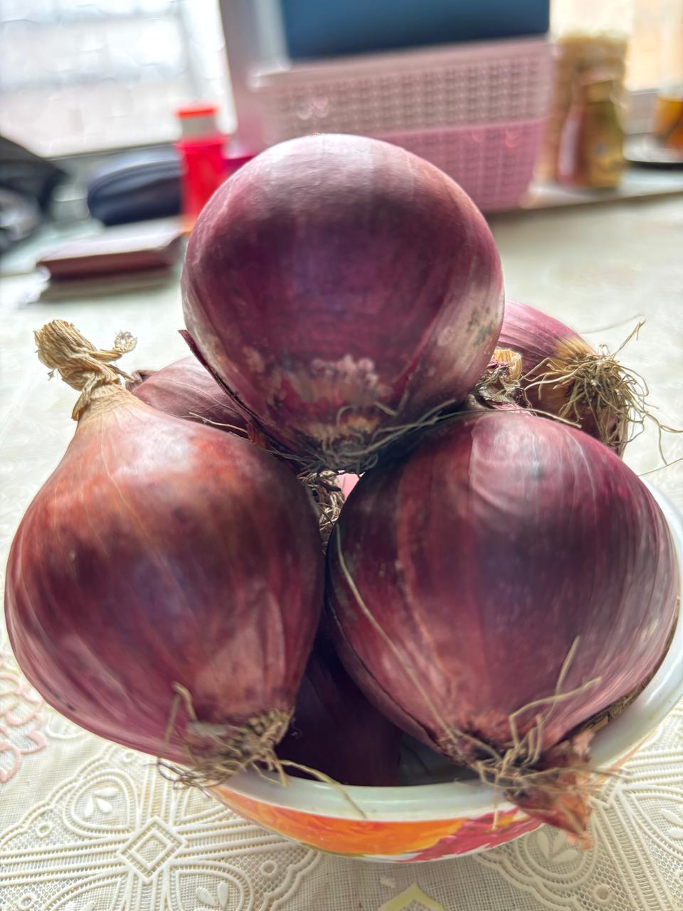 Onion Sukhsagar RSF 555
