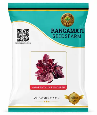 Amaranthus Red queen