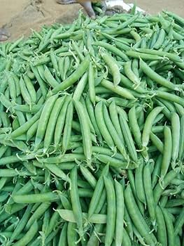 Peas Hero 10