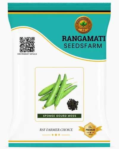 Sponge Gourd Moss