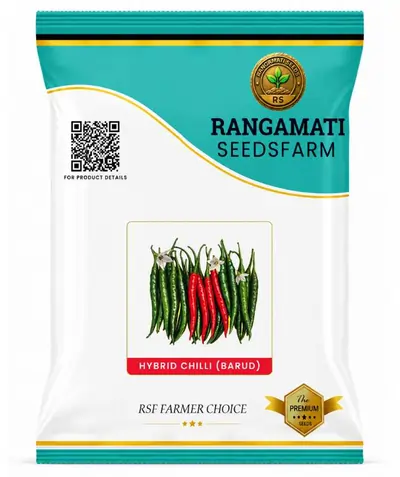 Chilli Barud