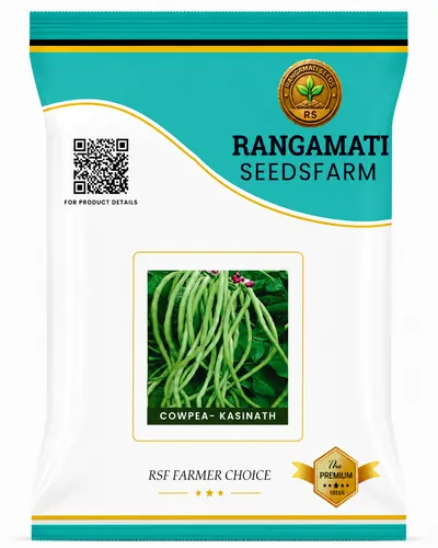 Cowpea Kashinath